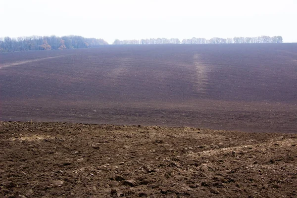 Terreno Arado Perto Floresta Perto Terra Arada — Fotografia de Stock