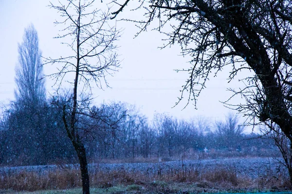 地面にぬれた雪が降る — ストック写真