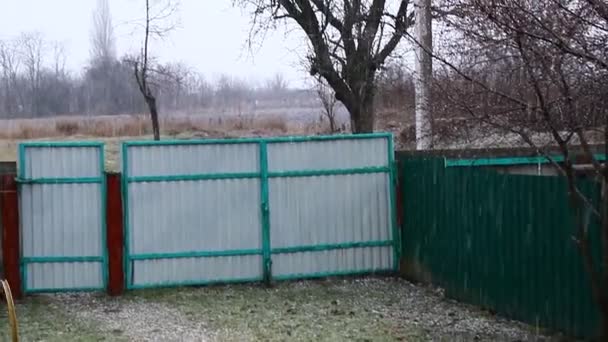 Мокрый снег падает на землю — стоковое видео