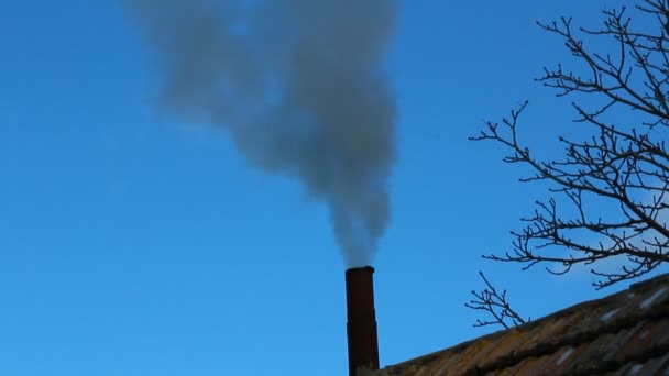 Rauch aus dem Schornstein an einem Wintermorgen — Stockvideo