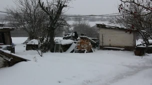 Biały śnieg spada na ziemię — Wideo stockowe