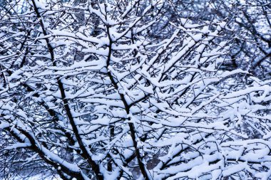 Kış geri döndü Ukrayna manzaraları