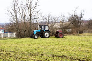 Bahar, Ukrayna gübresiyle buğday yemliyor.