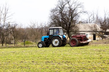 Bahar, Ukrayna gübresiyle buğday yemliyor.