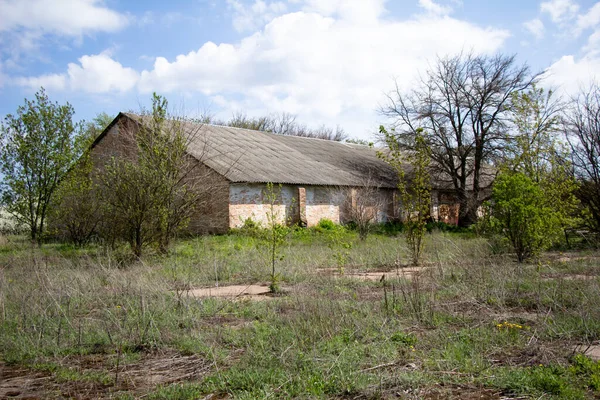 Nieuwe Gebouwen Oude Gebouwen Graanopslagloodsen Het Platteland Van Oekraïne — Stockfoto