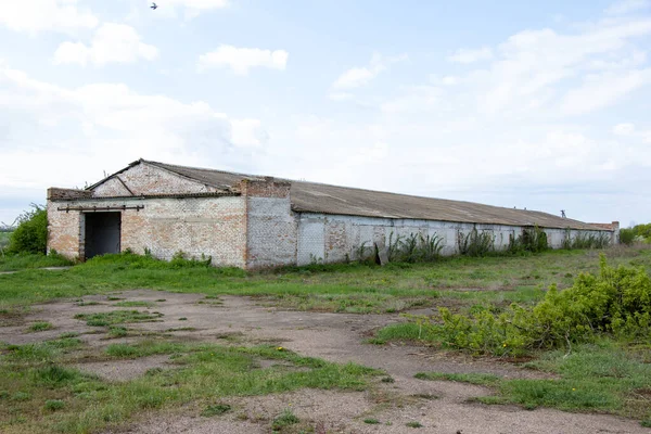 Viejas Casas Ladrillo Abandonadas Complejo Ganadero Construido Por Urss Ucrania —  Fotos de Stock