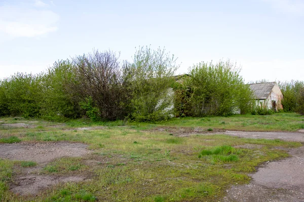 Viejas Casas Ladrillo Abandonadas Complejo Ganadero Construido Por Urss Ucrania —  Fotos de Stock