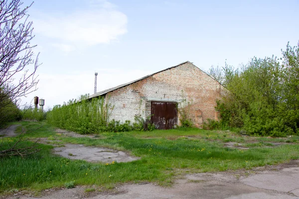 Viejas Casas Ladrillo Abandonadas Complejo Ganadero Construido Por Urss Ucrania —  Fotos de Stock