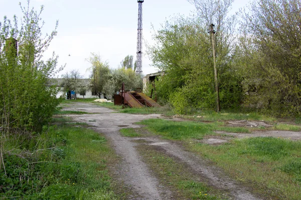 Старі Цегляні Будинки Покинуті Тваринницьким Комплексом Побудованим Урср — стокове фото