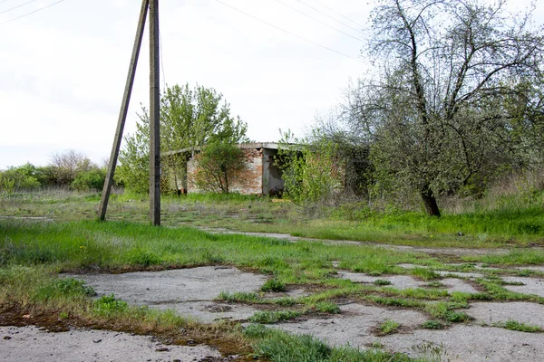 Alte Backsteinhäuser Verlassene Viehzucht Komplex Von Der Udssr Gebaut Ukraine — Stockfoto