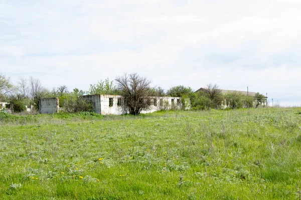 Casas Tijolos Antigos Abandonado Complexo Gado Construído Pela Urss Ucrânia — Fotografia de Stock