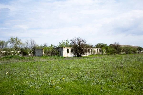 Alte Backsteinhäuser Verlassene Viehzucht Komplex Von Der Udssr Gebaut Ukraine — Stockfoto