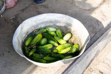 Cucumbers in a large bowl filled with water