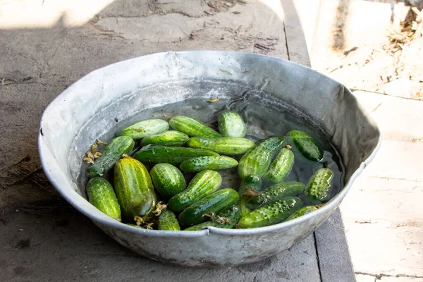 Cucumbers Large Bowl Filled Water — Stock Photo, Image