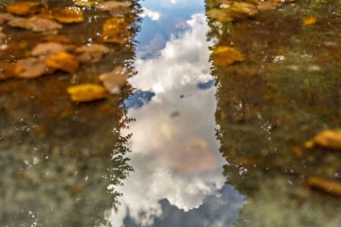 Sonbaharda parktaki su birikintisinin yansıması..