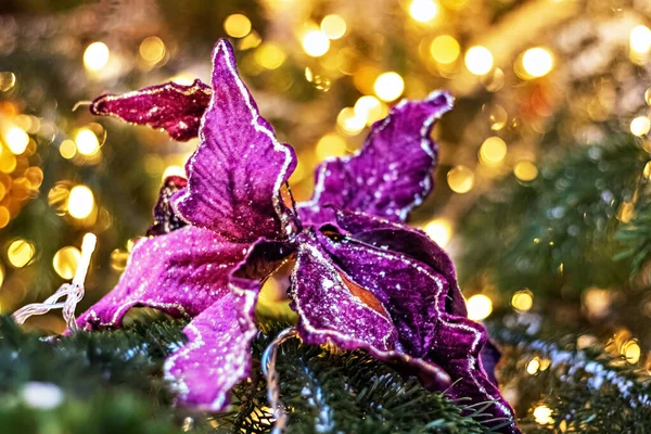 Fialový Vánoční Květ Stromě Nový Rok Hračky Světly — Stock fotografie