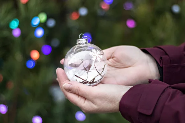 Χριστουγεννιάτικο Δέντρο Διαφανή Μπάλα Ένα Πουλί Μέσα Στα Χέρια Των — Φωτογραφία Αρχείου