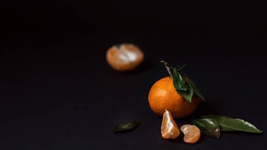 Siyah arka planda yeşil yapraklı taze Mandarin meyvesi. Pankart.