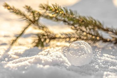 Gün batımında köknar dalıyla kar üzerinde buz kristalleri olan donmuş baloncuk. Noel arkaplanı.