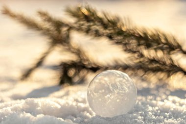 Gün batımında köknar dalıyla kar üzerinde buz kristalleri olan donmuş baloncuk. Noel arkaplanı.