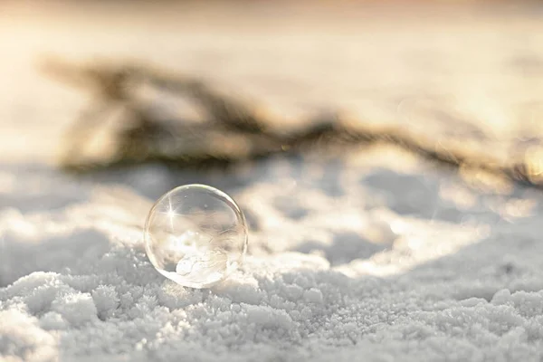 Παγωμένη Φούσκα Κρυστάλλους Πάγου Στο Χιόνι Κλαδί Ελάτης Στο Ηλιοβασίλεμα — Φωτογραφία Αρχείου