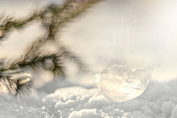 Zamarznięta Bańka Kryształami Lodu Śniegu Gałązką Jodły Zachodzie Słońca Tło — Zdjęcie stockowe