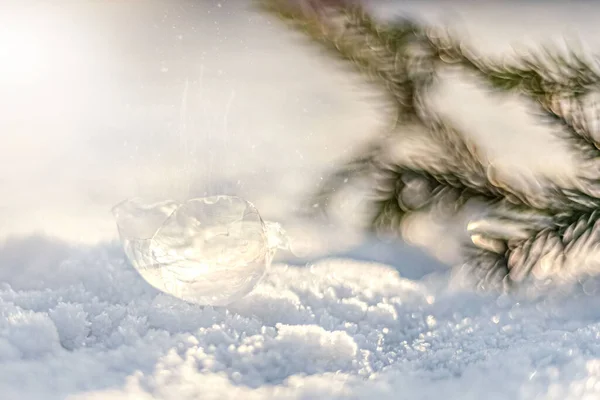 Заморожена Бульбашка Кристалами Льоду Снігу Ялиновим Гілкою Заході Сонця Різдвяний — стокове фото