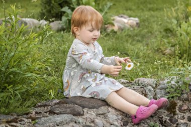Kızıl saçlı küçük bir kız bahçede elinde papatyayla yeşilliklerin arasında oturuyor. Seçici odak.