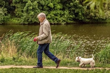 Yaşlı bir adam gölün yanındaki parkta köpeğini gezdiriyor. Yaşlılıkta aktif yaşam tarzı kavramı