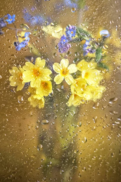 꽃들은 빗방울로 유리잔 황금빛 배경에 — 스톡 사진