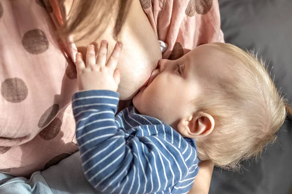 Uma Jovem Está Amamentando Seu Filhinho Aleitamento Materno Maternidade Família Imagem De Stock