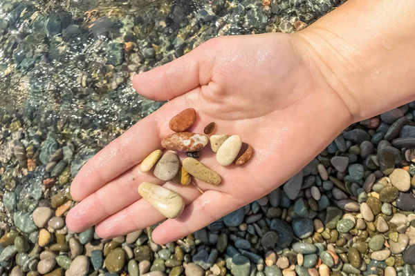 Close-up of a woman\'s hand holding a pebble on the beach. Sea, summer, vacation