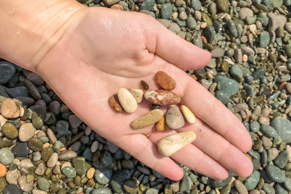 Primer Plano Mano Una Mujer Sosteniendo Guijarro Playa Mar Verano —  Fotos de Stock