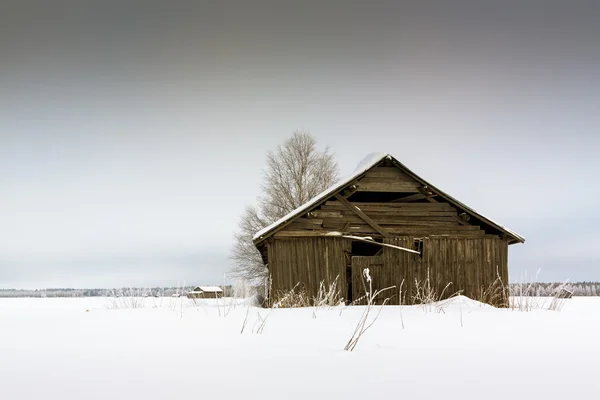 Snön täckte ladhus — Stockfoto