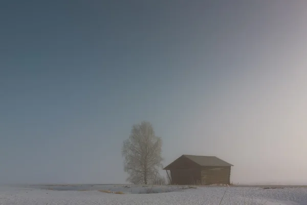 Misty alan küçük ahır