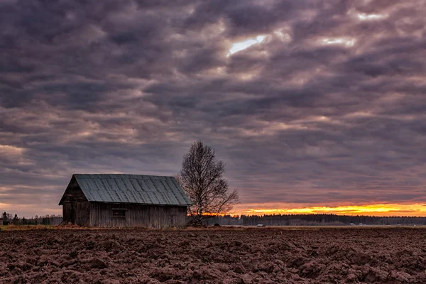 Solnedgang i mai – stockfoto