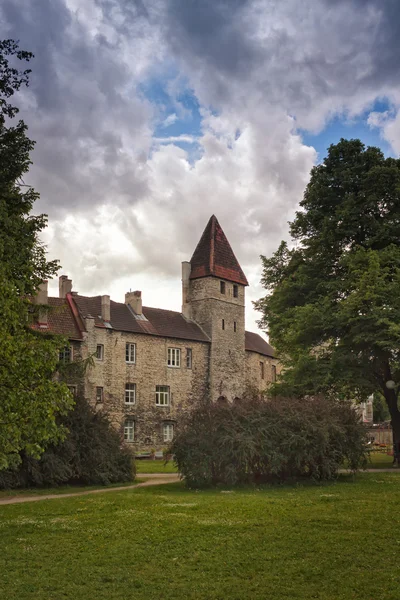 Stadsmuren och ett torn i Tallinn — Stockfoto