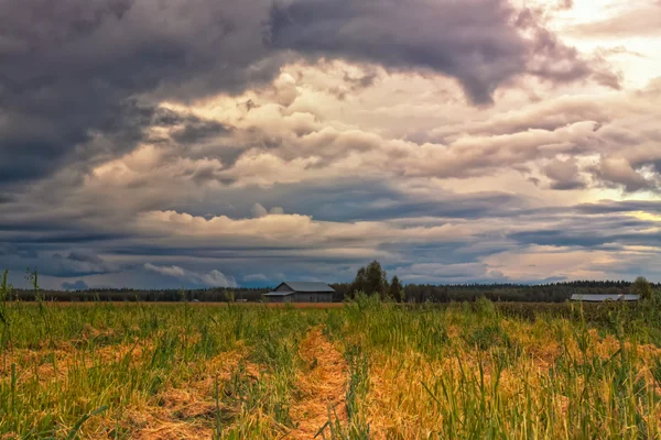 Storm wolken Over de velden — Stockfoto