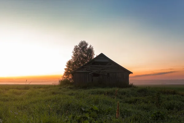 Туман и сарай — стоковое фото