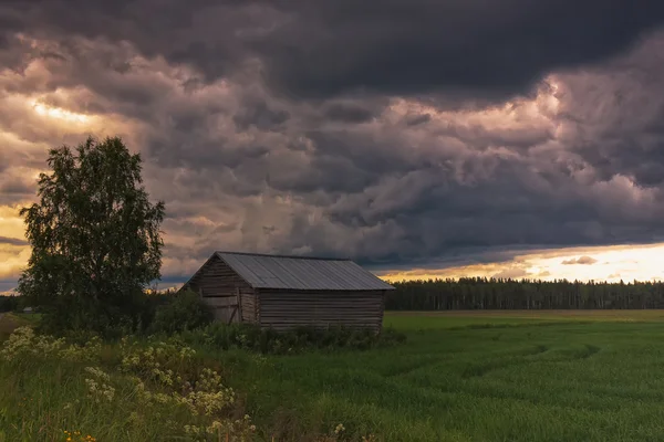 Birch Tree en een schuur huis onder de Storm wolken — Stockfoto