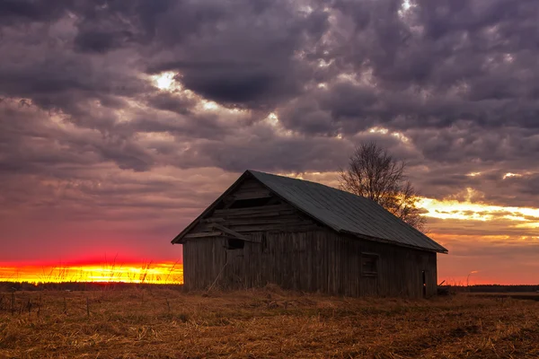 Pôr do sol nos campos de primavera — Fotografia de Stock