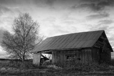 Batan güneş terk edilmiş eski ahır evini aydınlatıyor. Sonbahar akşamları çok güzel, çok dramatik gökyüzü var..