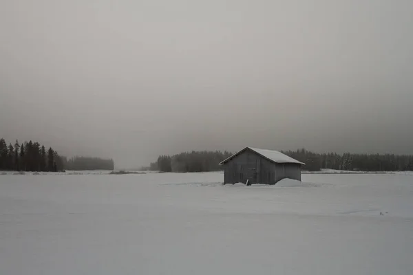 Tidig Vintermorgon Snöiga Fälten Norra Finland Dimman Stiger Över Snötäckta — Stockfoto