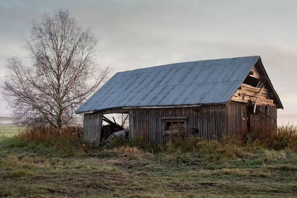 Finlandiya Kırsalının Sisli Tarlalarında Eski Bir Ahır Evi Sonbahar Sabahı Stok Fotoğraf