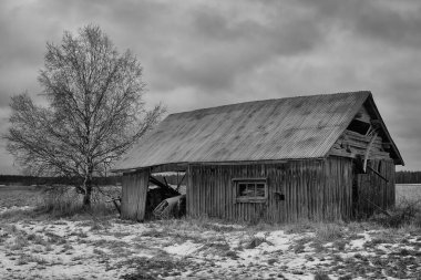 Finlandiya 'nın kırsal kesimlerinde eski bir ahır evi bulunmaktadır. Yerde sadece biraz kar var..