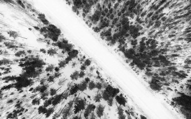 Ormanın havadan görünüşü ve içinden geçen bir yol. Kış günü sahneyi don ve karla kapladı..