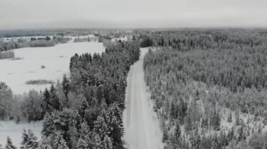 Soğuk Orman 'da Yalnız Bir Yol İzlerken
