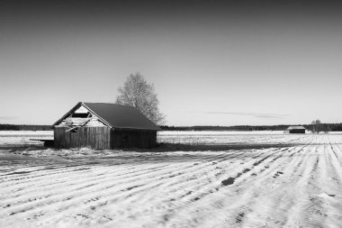 İki eski ahır evi bir kış günü karlı tarlalarda duruyor. Parlak kış güneşi tarlalarda uzun gölgeler yaratır..