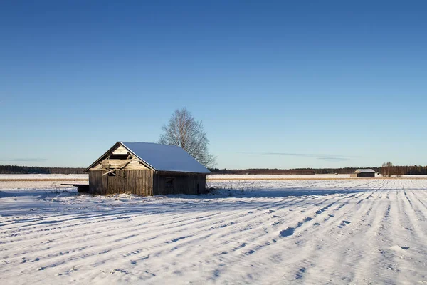 Zwei Alte Scheunenhäuser Stehen Einem Wintertag Auf Den Verschneiten Feldern — Stockfoto