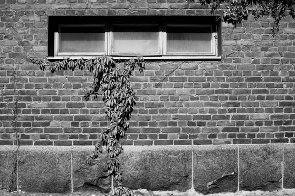 Três Janelas Numa Antiga Parede Tijolos Numa Área Industrial Uma — Fotografia de Stock